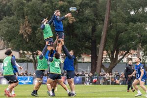 French Rugby XV Team